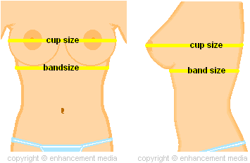 Can I Reduce My Bra Band Size Without Reducing the Cup Size?