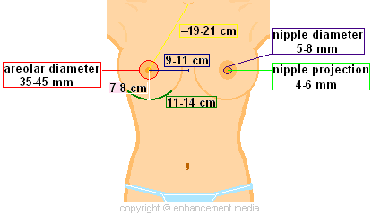 Nipple size perfect What Men