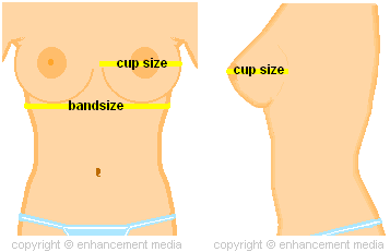 Important Bra Sizing Information - Breast Reduction 4 You!